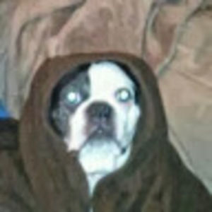 Meet your Posher, Ian